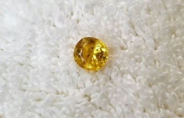 Golden Yellow Sapphire Gemstone (Pukhraj) - 8.5 Carat ( Rs 18,500 / Carat)